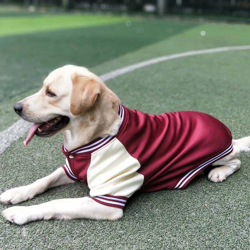 2024 Dog Winter Baseball Suit Pet Coat Clothes Popular Fashion Large Dog Outdoor Apparel Comfortable Dog Clothes Golden Labrador