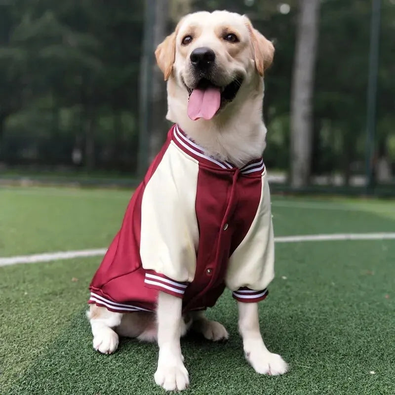 2024 Dog Winter Baseball Suit Pet Coat Clothes Popular Fashion Large Dog Outdoor Apparel Comfortable Dog Clothes Golden Labrador
