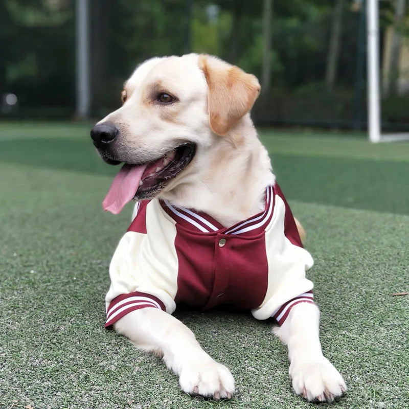 2024 Dog Winter Baseball Suit Pet Coat Clothes Popular Fashion Large Dog Outdoor Apparel Comfortable Dog Clothes Golden Labrador