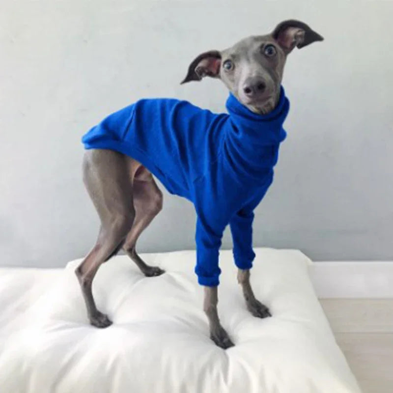 Dog Clothes Spring Autumn High Collar Two-legged Pet Clothes Greyhound Whippet Turtleneck Pajamas Warm Clothes Dog Supplies