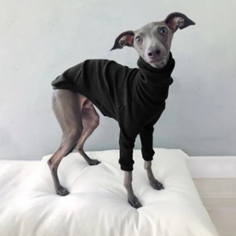 Dog Clothes Spring Autumn High Collar Two-legged Pet Clothes Greyhound Whippet Turtleneck Pajamas Warm Clothes Dog Supplies