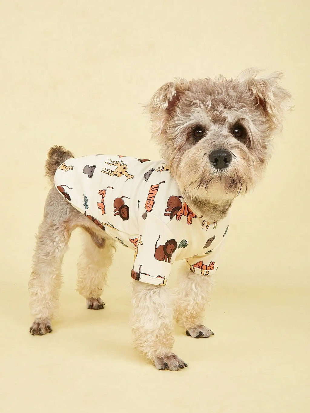 Cute Dog Clothes, T Shirt for Medium and Small Dogs Girl Boy,Puppy.Breathable Soft Dog Costume for Pet Dogs Cats, Pet Pullover