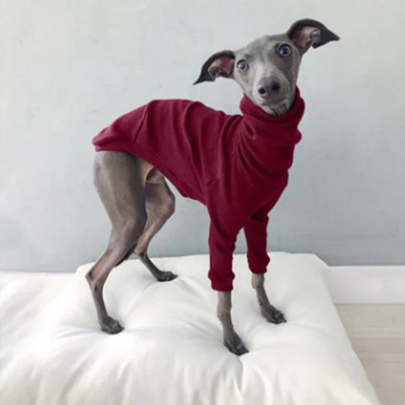 Dog Clothes Spring Autumn High Collar Two-legged Pet Clothes Greyhound Whippet Turtleneck Pajamas Warm Clothes Dog Supplies
